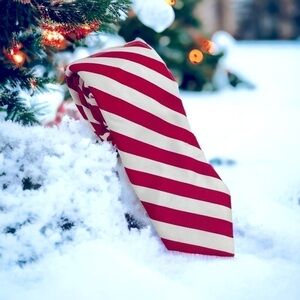 R. Hanauer Red and White Bar Striped Necktie